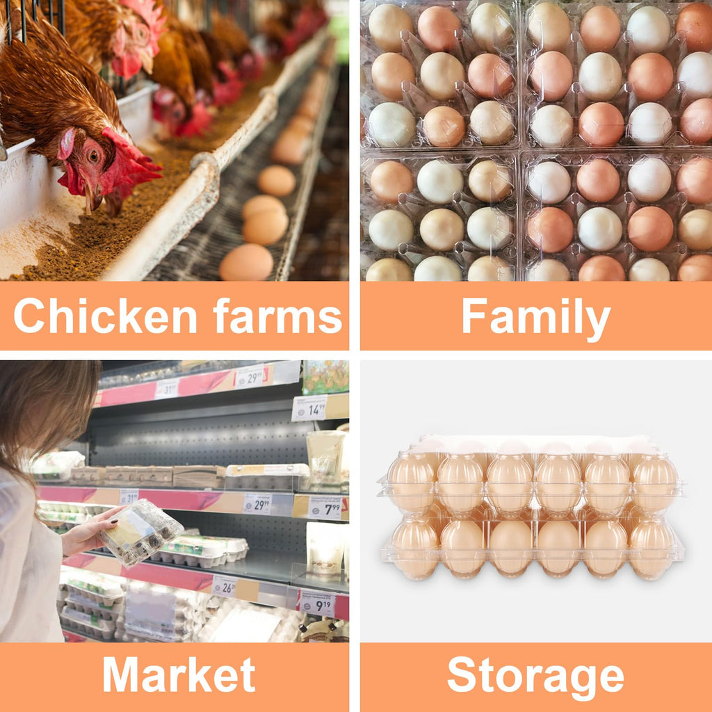 LOYORTY 50PCS Plastic Egg Cartons,18 Count Reusable Egg Carton Cheap Bulk, 3x6 Grids Clear Empty Eggs Cartons for Family, Farm, Markets