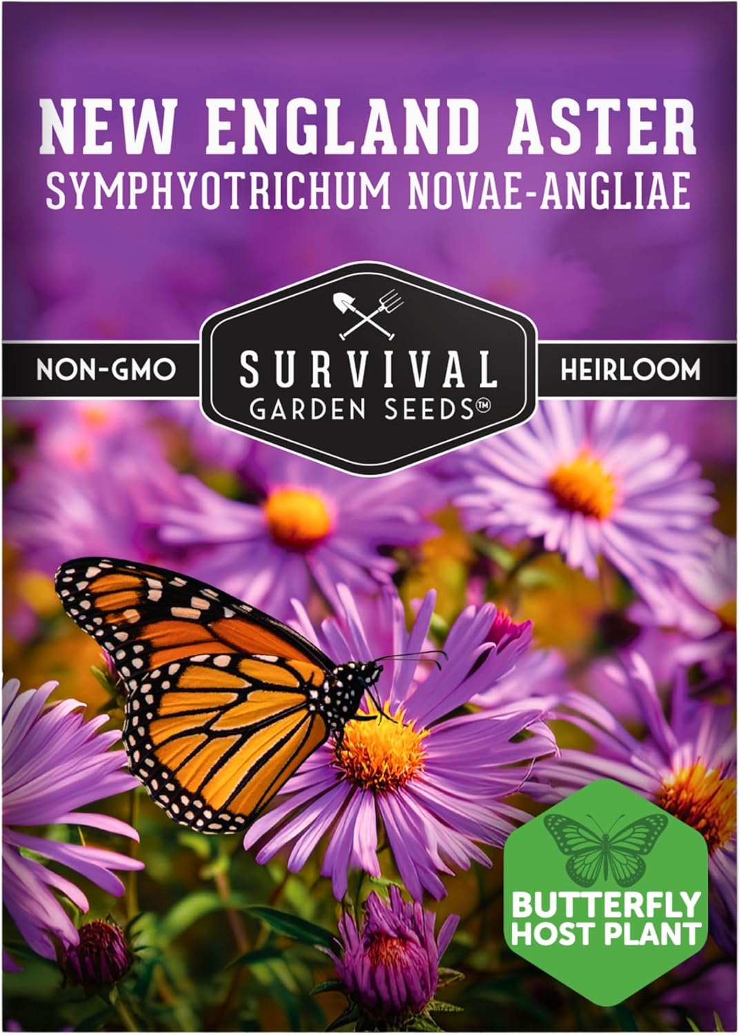 Survival Garden Seeds - New England Aster Seeds | Native Purple Perennial Wildflower | Attracts Butterflies | 1 Pack