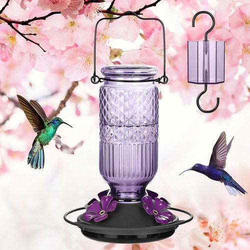 FEED GARDEN Glass Hummingbird Feeder - 16 Oz Purple & 20 Oz Red for Vibrant Garden Decor