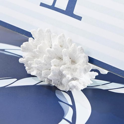 Kate Aspen Seven Seas Mini Coral Place Card Holders - Set of 6 Coastal Decor Mini Table Place Cards with Holders, Beach Wedding Decorations, Table Beach Decor, Under The Sea Party Decorations