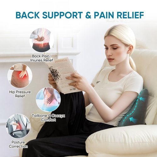 AHUAWA Lumbar Support Pillow for Recliner Chair and Couch, Memory Foam Back Cushion Ergonomic Back Support Pillow for Lower Back Pain Relief, with Soft Velvet