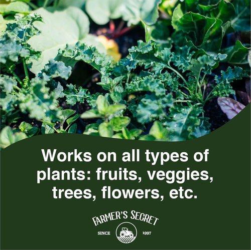 Farmer's Secret Spring Booster Fertilizer - Super Concentrated 8-16-8 Formula for All Plants (8oz)