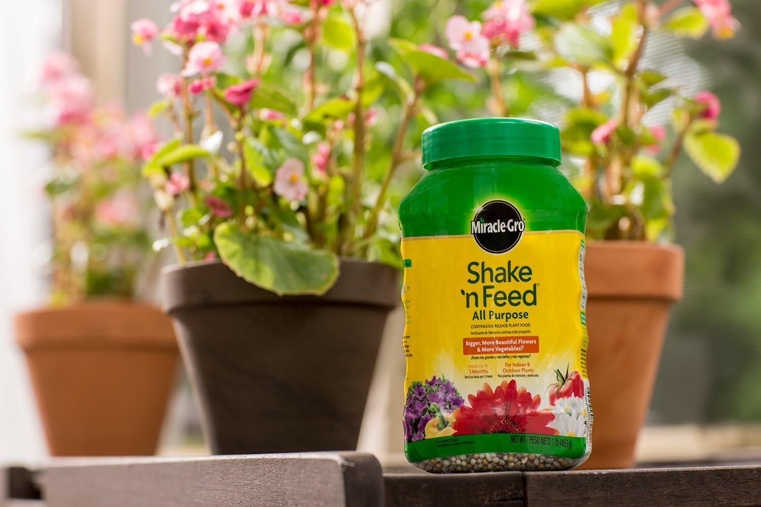Miracle-Gro All Purpose Plant Food - Continuous Release Fertilizer, 1-Pound for Thriving Plants