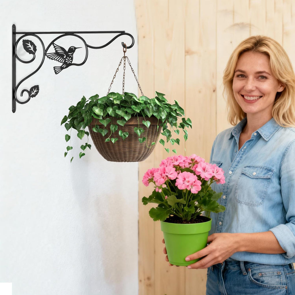 Skiennix Plant Hooks - Sturdy 12-Inch Metal Wall Hangers for Indoor/Outdoor Decor | Black Finish