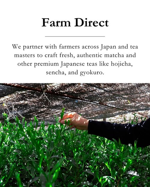 Emptea Sencha Japanese Green Tea Loose Leaf - Asamushi Light Steamed First Harvest Tea Masters Blend Oragnic Unsweetened Japanese Green Tea 2.82 oz (80g)