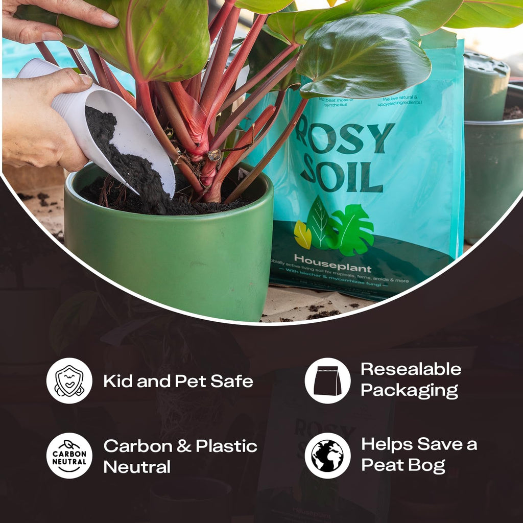 Rosy Soil Indoor Potting Soil - Organic Mix Enriched with Biochar for Healthy House Plants | Peat-Free, 4qt