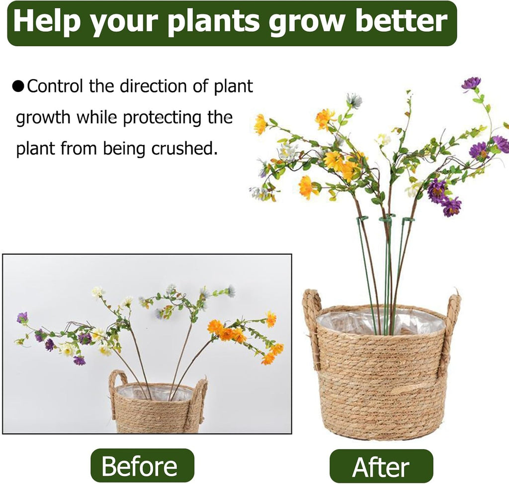 Small Plant Stakes - Pack of 30 | Durable Support for Indoor Plants - 3 Sizes: 6.7/10.7/14.6 Inches