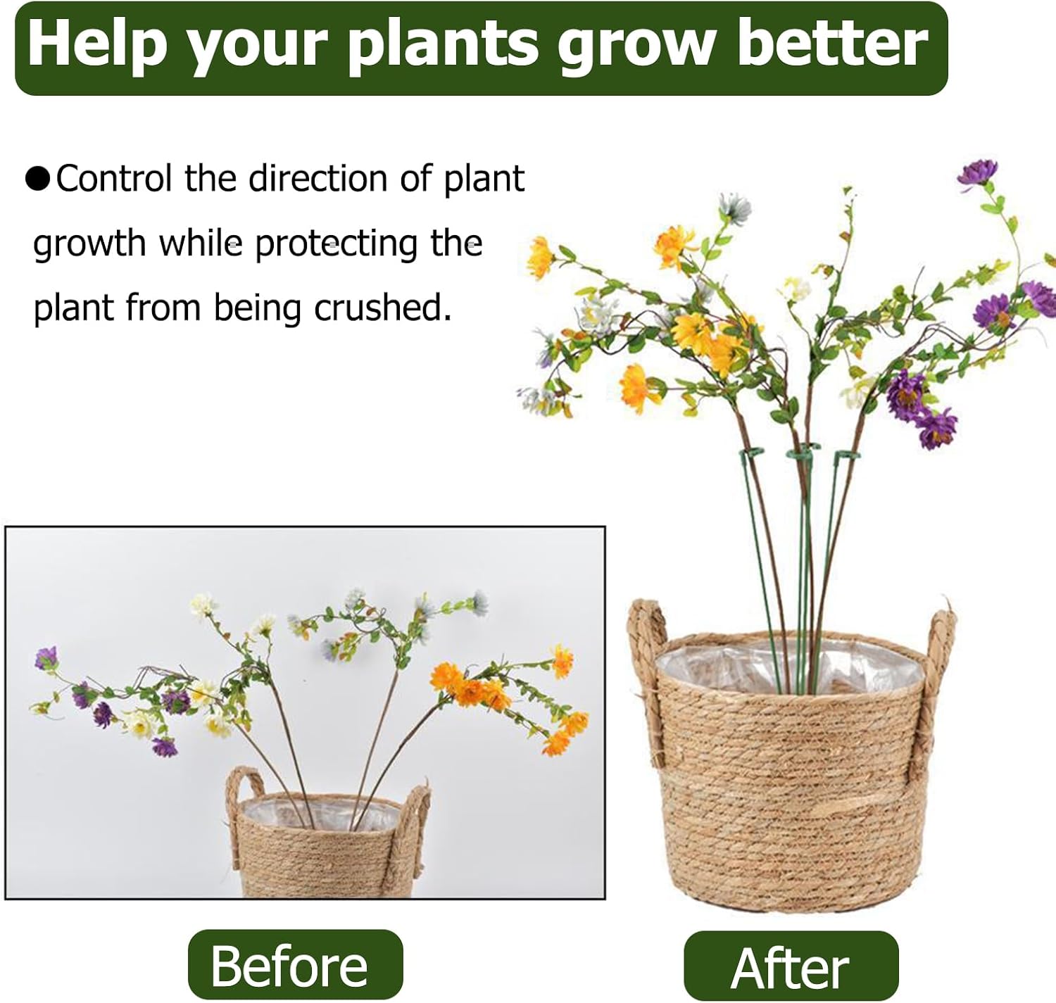 Small Plant Stakes - Pack of 30 | Durable Support for Indoor Plants - 3 Sizes: 6.7/10.7/14.6 Inches