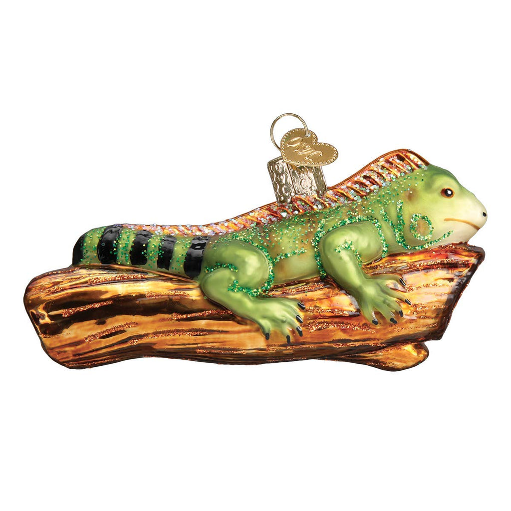 Old World Christmas Iguana Glass Blown Ornament for Christmas Tree, Handcrafted Holiday Decoration, Wildlife Animal Collection