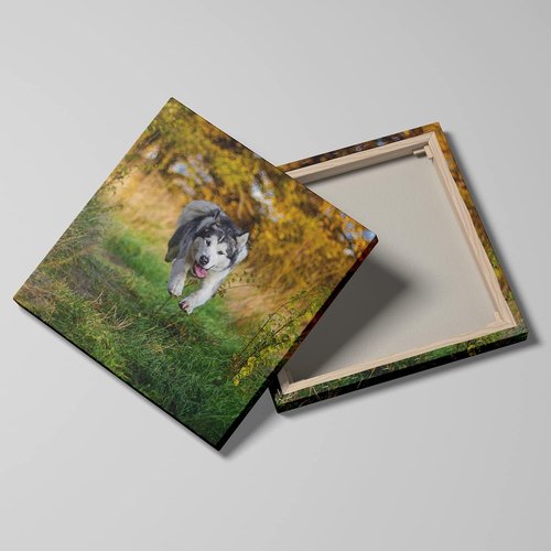 Framed Canvas Prints - Personalized Photo Wall Art | Custom Paper Poster Available