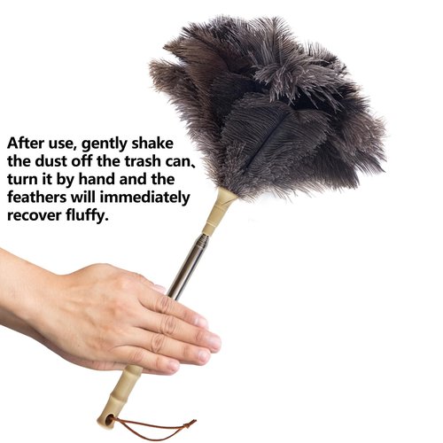 Aldwin Ostrich Feather Duster with Extension Pole Up to 43 inch, Genuine Fluffy Natural Reusable Handheld Feather Dusters for Cleaning Supplies, Washable, Car, Office, Desk, Blinds