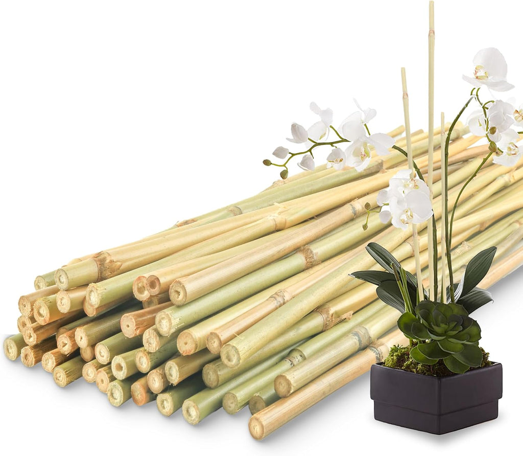Bamboo Plant Stakes - 50 Pcs 2ft Garden Support Sticks for Indoor/Outdoor Plants | Ideal for Tomatoes, Vegetables, and Climbing Plants