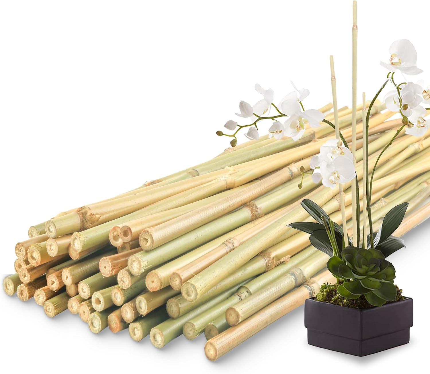 Bamboo Plant Stakes - 50 Pcs 2ft Garden Support Sticks for Indoor/Outdoor Plants | Ideal for Tomatoes, Vegetables, and Climbing Plants