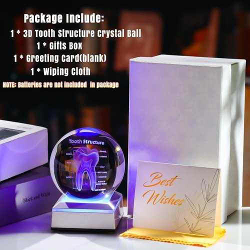 3D Human Tooth Crystal Ball - Anatomical Model Keepsake for Dentists | 3.15 in. with LED Light Base