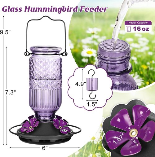 FEED GARDEN Glass Hummingbird Feeder - 16 OZ Outdoor Feeder with 4 Bee Guards & Ant Moat | Purple, 2 Pack