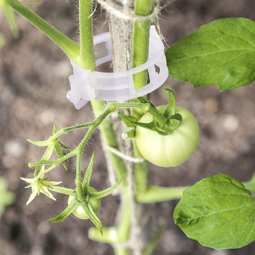 KINGLAKE Plant Support Clips - 200 Pcs Tomato Vine & Trellis Clips for Healthier Upright Growth