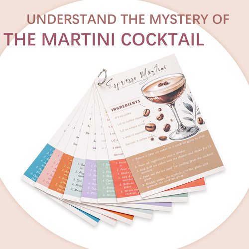 USEEKRIL Travel Martini Kit with 2 Glasses,Travel Bartender Kit with Case Recipe Cards, Cocktail Shaker Set for Cocktail Mixer,Martini Gift Shaker Set for Home Outdoor Party