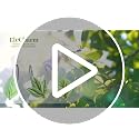 EleCharm Leaf A 12PCS Green Plant Shower Curtain Hooks - Rustproof Stainless Steel