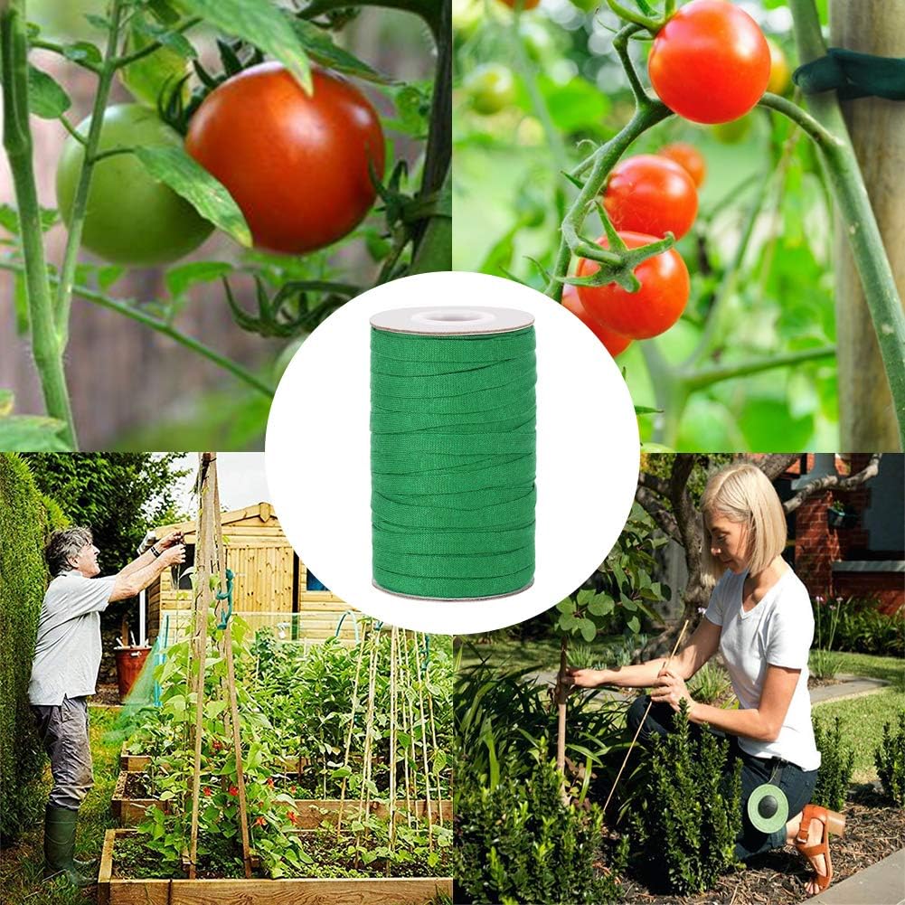 Skiennix Plant Ties - 164 Feet of 8mm Green Garden Twine | Biodegradable Support for Tomatoes, Vines & Roses