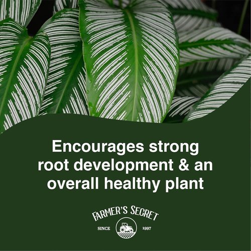 Farmer's Secret Calathea Liquid Plant Food - Super Concentrated Fertilizer (8oz) for Growth & New Shoots