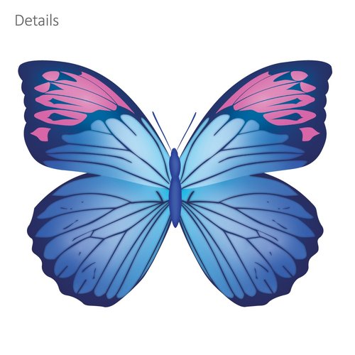 DECOWALL DS9-1302 30 Vibrant Butterflies Kids Wall Stickers Wall Decals Peel and Stick Removable Wall Stickers for Kids Nursery Bedroom Living Room d?cor