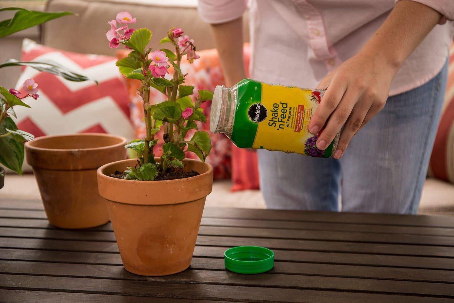 Miracle-Gro All Purpose Plant Food - Continuous Release Fertilizer, 1-Pound for Thriving Plants