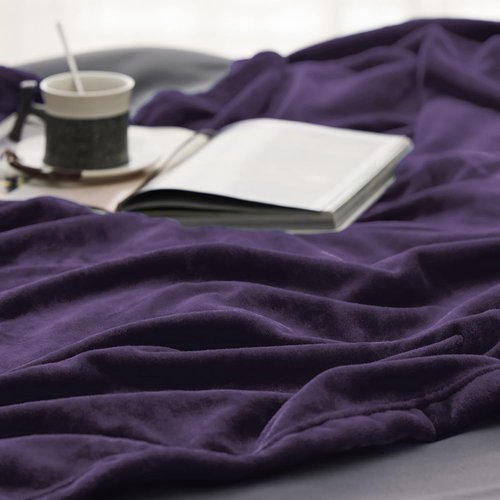 Bedsure Fleece Blanket - Soft, Lightweight Plush Twin XL Blanket in Purple | Cozy for Bed, Sofa, Travel (66" x 90")