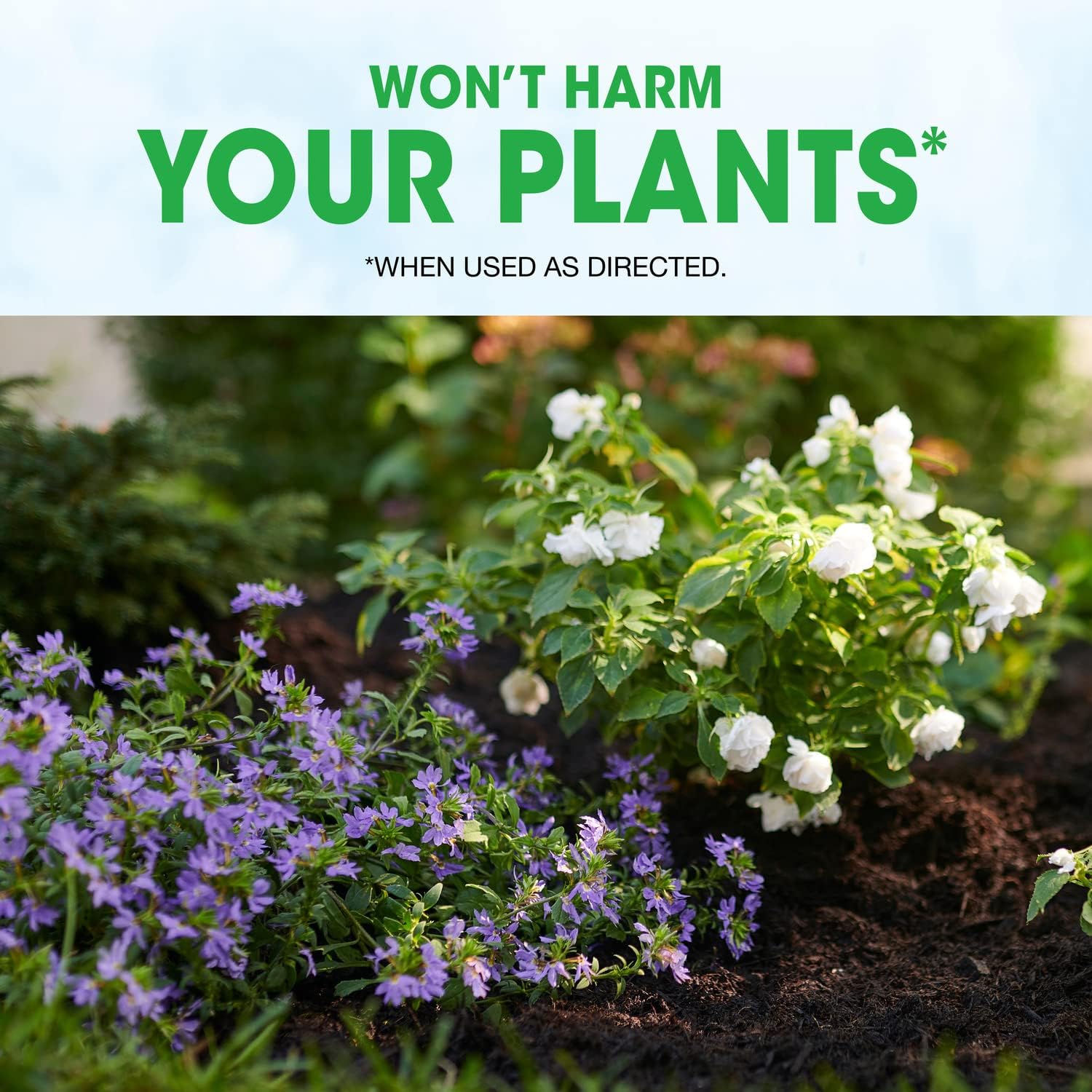 Roundup Weed Barrier Granules - Effective Weed Prevention Solution | 5.37 lbs