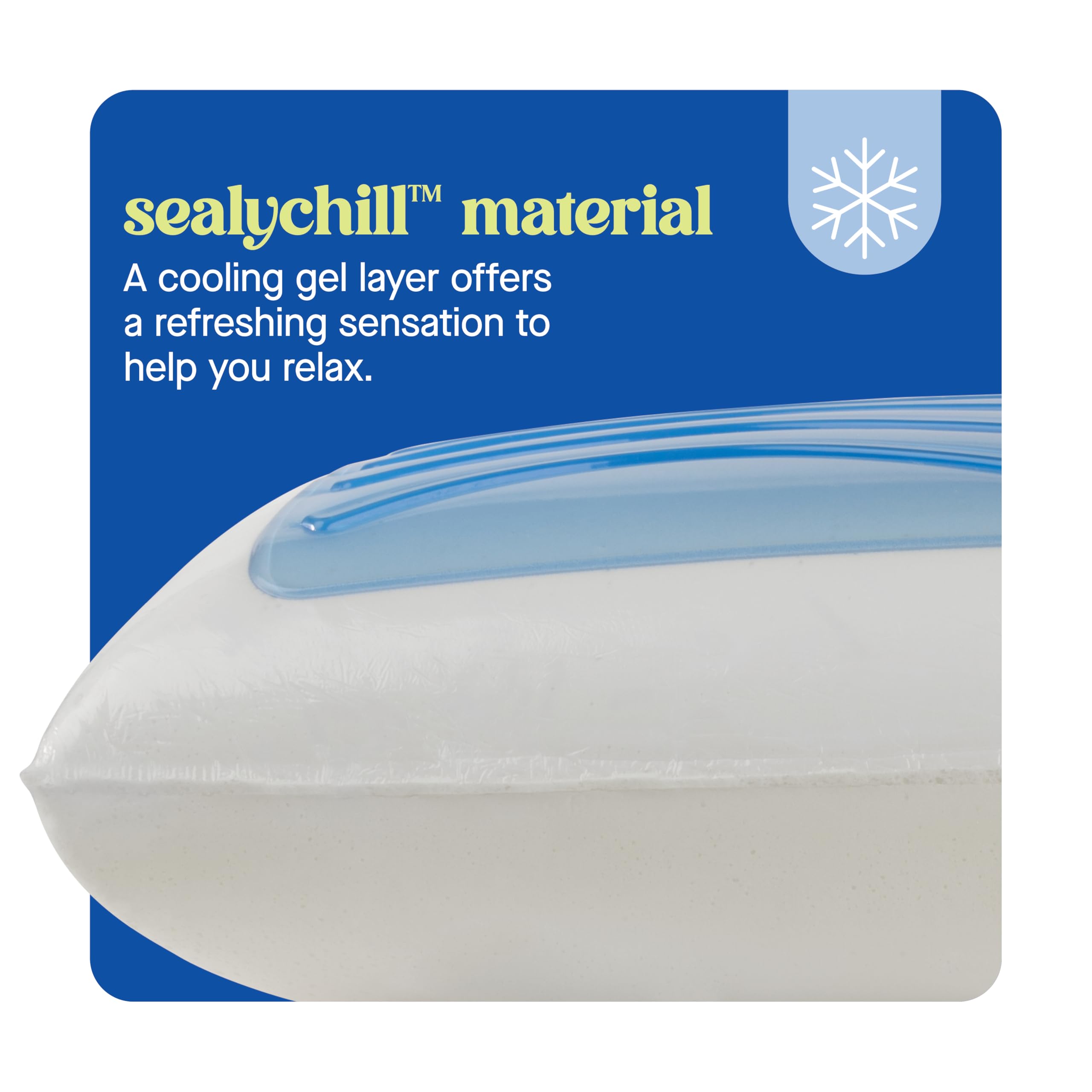 Sealy Dreamlife King Size Memory Foam Cooling Pillow with SealyChill Cooling Gel, Removable Machine-Washable Cover, Made in the USA, White