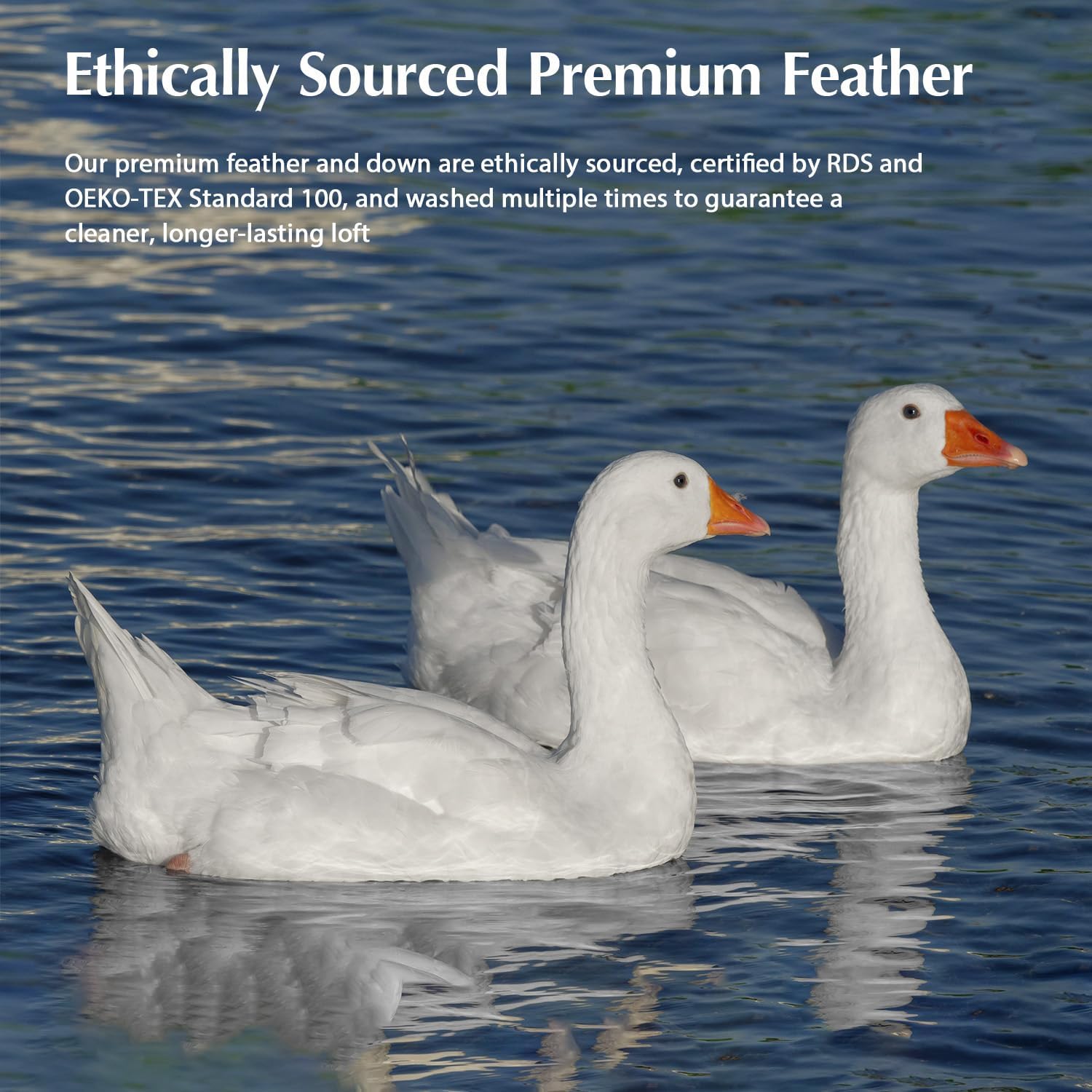 Pacific Coast Goose Down Comforter - Extra Fluffy White Duvet Insert | Queen Size, Soft & Breathable All-Season Luxury Bedding (90"x90")