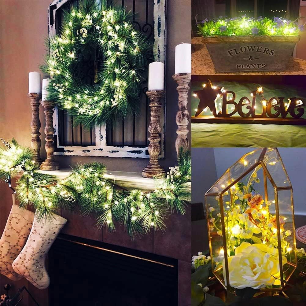 Skiennix 24 Pack Fairy Lights - Battery Operated 7FT Waterproof Silver Wire String Lights | Indoor/Outdoor Decor