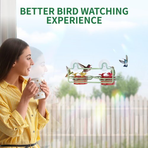 Dreamdrawer Hummingbird Feeder - Small Outdoor Feeder with Strong Suction Cup & Metal Base, 6 Feeding Ports