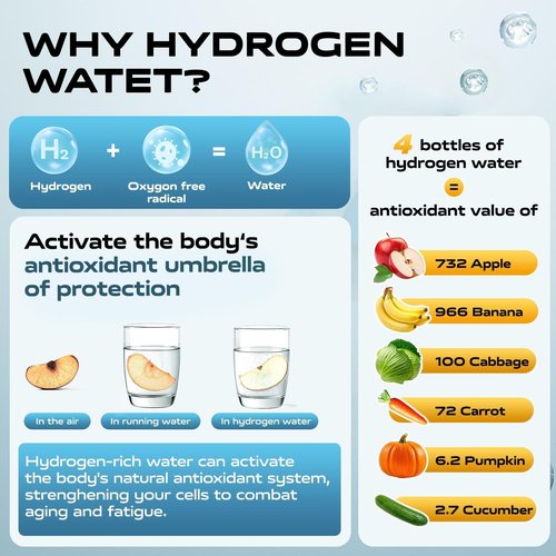Hydrogen Water Bottle Generator,4500PPB SPE/PEM Tech -Electrolysis Water Ionizer -11.3 OZ Hydro Water Bottle, Portable Rich Hydrogen Water Machine, Health Gifts for Husband, Wife,Family,Friend,Travel