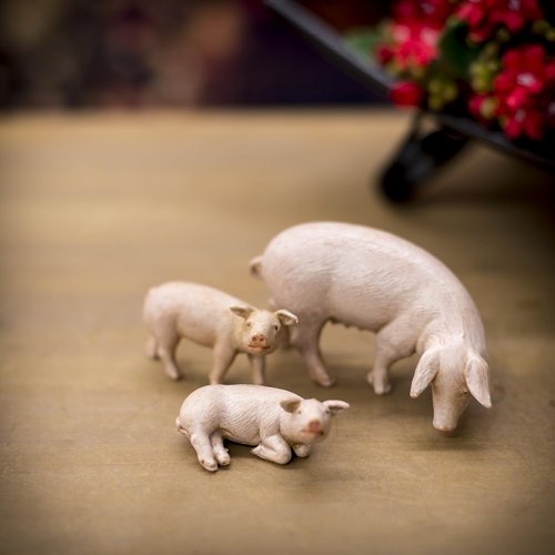 Fontanini by Roman Inc. | Hand Sculpted Pig Family Nativity Figure - 5" Animals Collection