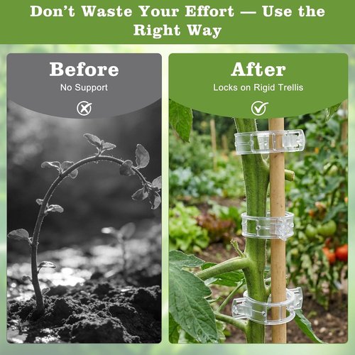 Feed Garden 120Pcs Plant Clips - Reusable Supports for Climbing Plants, Tomatoes, Cucumbers & More | White