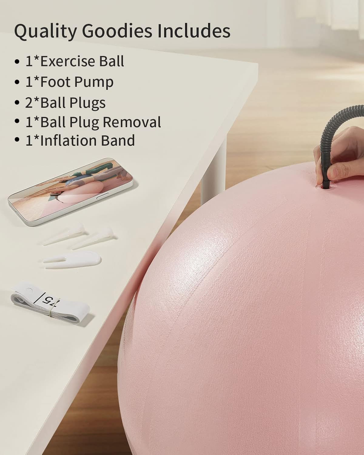 YOTTOY Anti-Burst Exercise Ball - Extra Thick Yoga & Fitness Ball for Pregnancy and Therapy