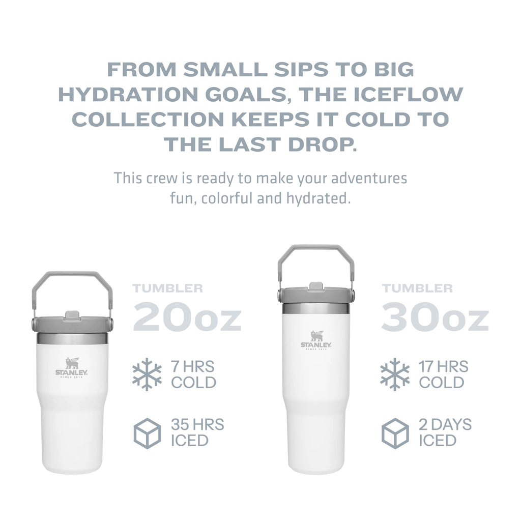 Stanley IceFlow Flip Straw Tumbler with Handle 20 oz | Twist On Lid and Flip Up Straw | Leak Resistant Water Bottle | Insulated Stainless Steel |BPA-Free | Iris