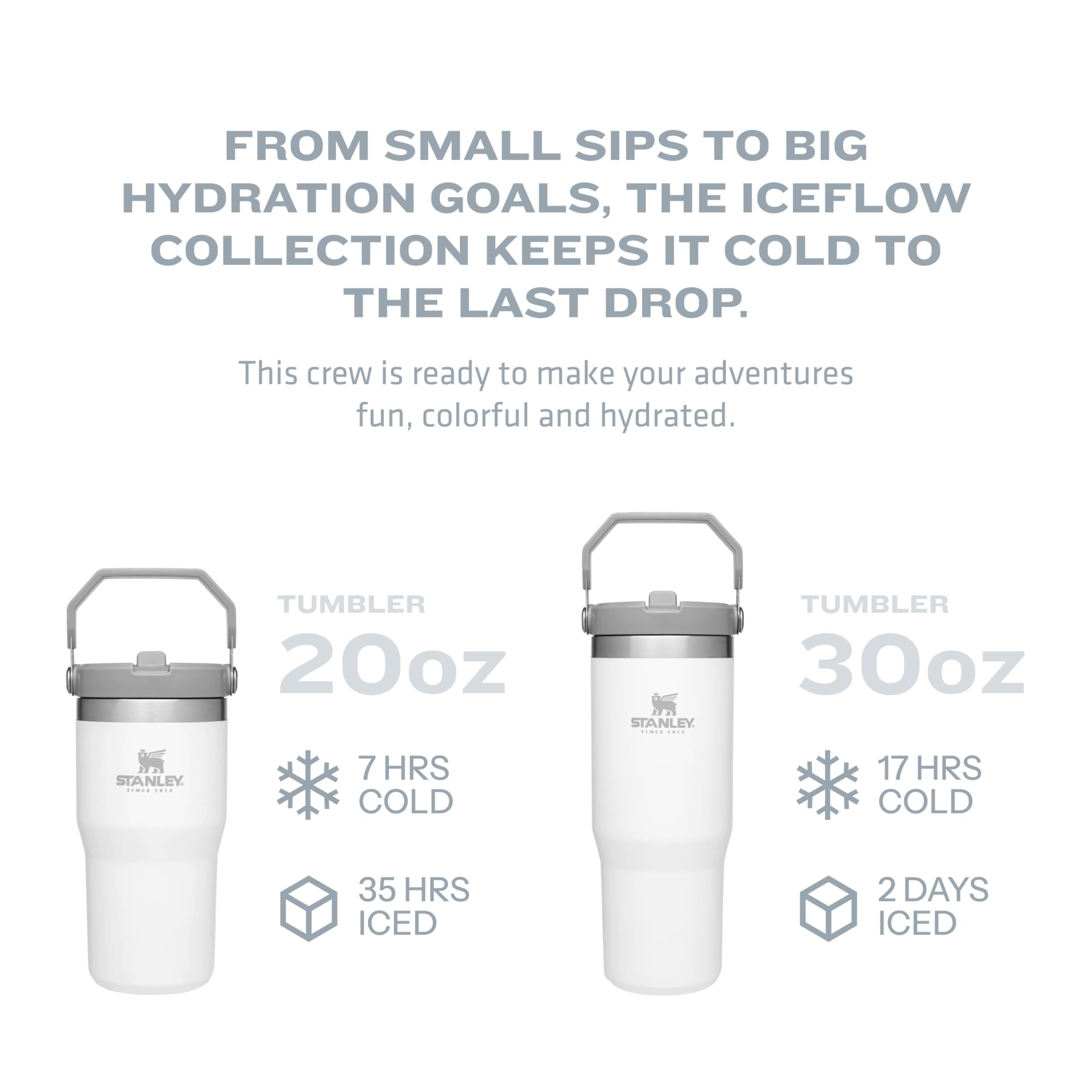 Stanley IceFlow Flip Straw Tumbler with Handle 20 oz | Twist On Lid and Flip Up Straw | Leak Resistant Water Bottle | Insulated Stainless Steel |BPA-Free | Iris