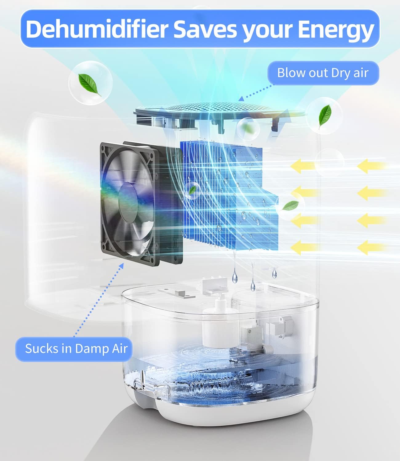 Skiennix Dehumidifier - 35 OZ Compact Unit for Bedrooms | Quiet Operation & Auto Shut Off, White