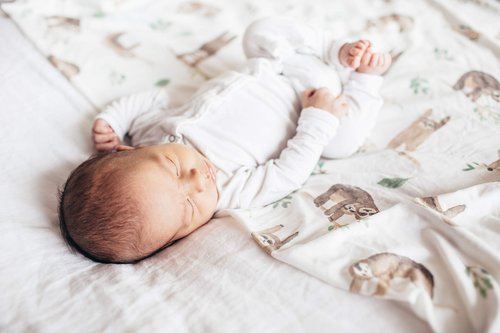 Copper Pearl Large Premium Knit Baby Swaddle Receiving Blanket Noah