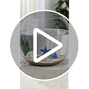 Iridescent Pearl Shell Glass Aquarium Decor for Betta Tanks