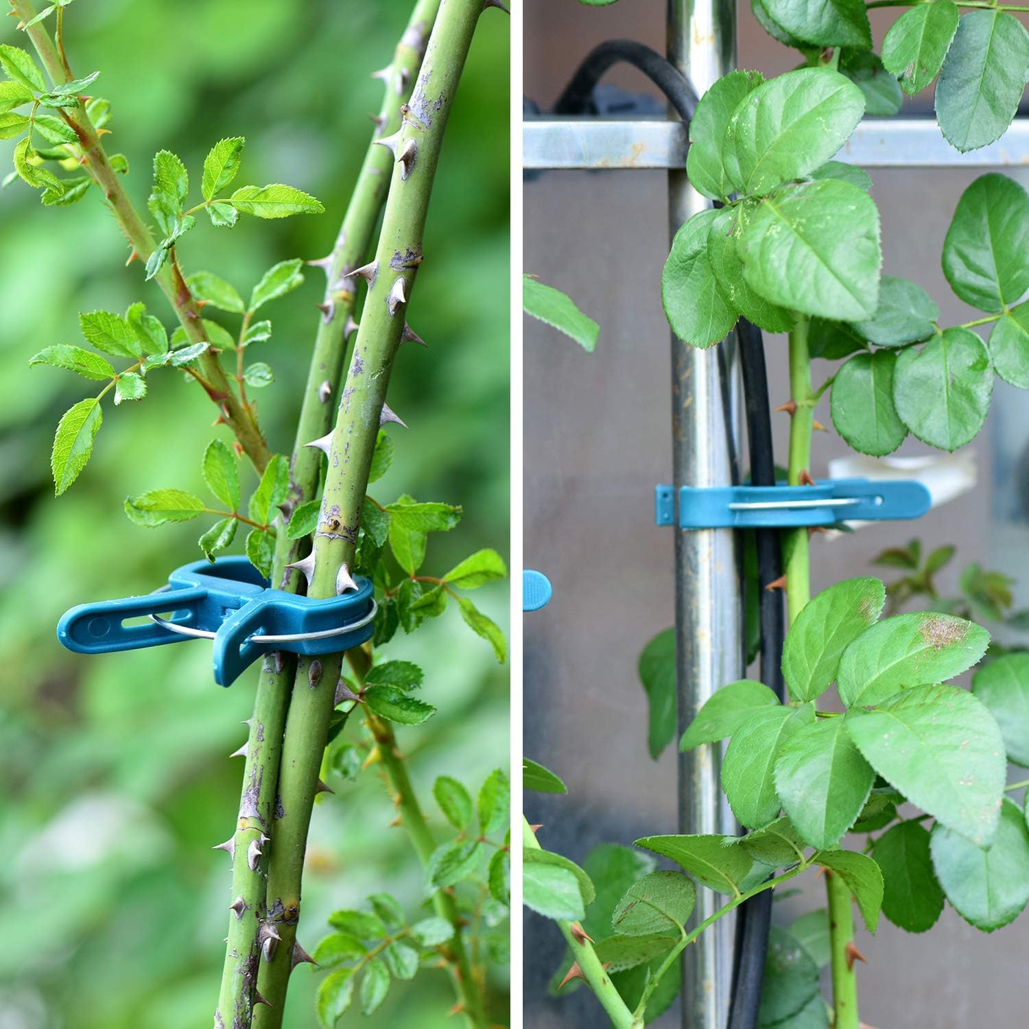 PERSZEN Plant Clips - 60PCS Reusable Garden Supports for Flowers, Vines & Vegetables | 2 Sizes
