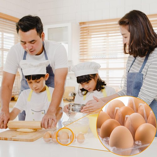 APOCHON 40PCS Plastic Egg Cartons 18 Count,Clear Egg Cartons Cheap Bulk for Fresh Eggs,Reusable Egg Holder for Family,Pasture,Farm Markets Display - Medium Egg Containers 3x6 Grids