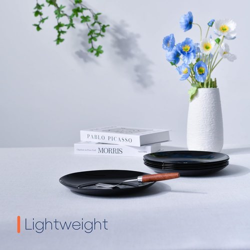 LaGlint 8.5-Inch Salad Plate Set of 6 - Lightweight Opal Glass Round Plates | Dishwasher & Microwave Safe