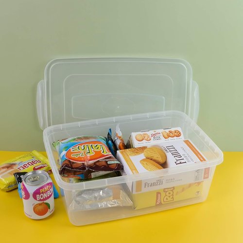 Inhouse 14 Quart Clear Storage Bins - Plastic Latching Containers with Lid | Set of 4 Shoe Boxes