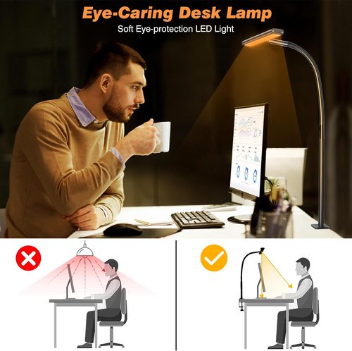 Airlonv LED Desk Lamp - Eye-Caring Adjustable Gooseneck Light with Stepless Dimming | 10W USB Clamp Lamp (Black)