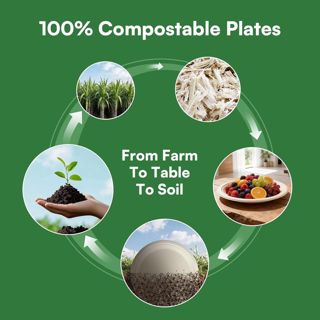 Regine Switzerland 10-Inch Compostable Paper Plates - Eco-Friendly Sugarcane Bagasse | 100 Pack, Microwave Safe