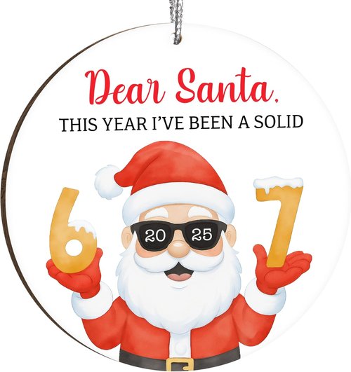 67 Meme Funny Christmas Ornaments - Hilarious Santa Tree Decor for Gag Gifts & Stocking Stuffers