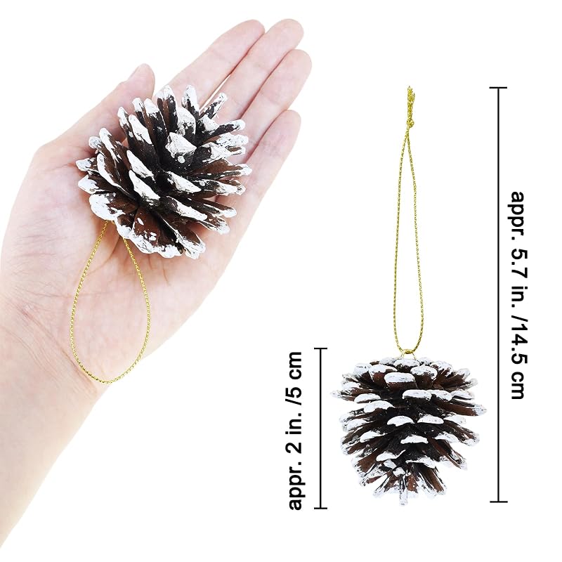 Winlyn White Frosted Pinecone Christmas Ornaments Set of 30 with Gold Hanging Strings - Snowy Natural Pine Cones for Tree, Wreath, Garland (Variation: White)