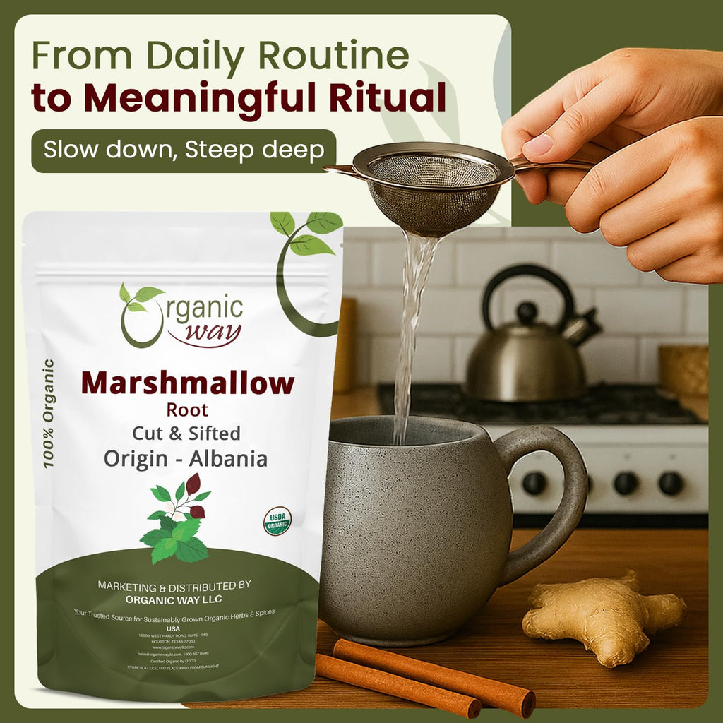 Organic Way Marshmallow Root | Herbal Tea (Althaea officinalis) Cut & Sifted - European Wild-Harvest | Organic & Kosher Certified | Non GMO & USDA Certified | Origin - Albania (1/4LBS / 4Oz)